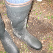 eerstes zwin 2011 010.jpg