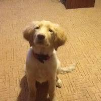 bella ann.jpg bella ann.jpg