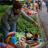 IMGP0179.JPG