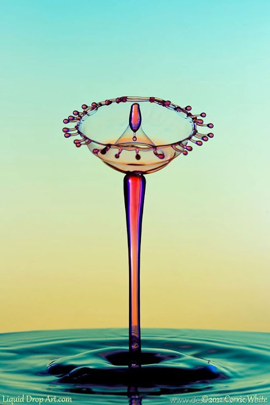 liquid-drop-art-gotas-caindo-foto-velocidade-hora-certa-desbaratinando (240) liquid-drop-art-gotas-caindo-foto-velocidade-hora-certa-desbaratinando (240)