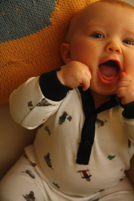 IMG_4312.jpg IMG 4312