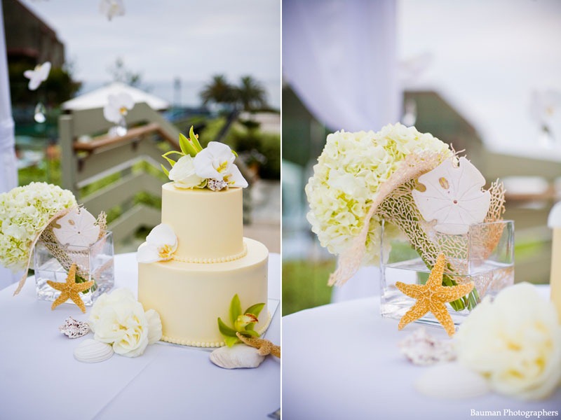 [Seashells-wedding-cake-karen-tran5.jpg]