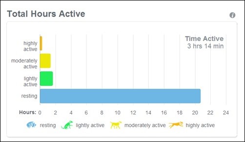 time active July 5