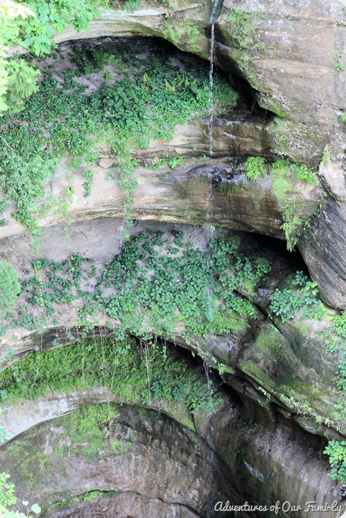 starved rock1