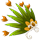 144 144