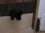 Immagine 003.jpg