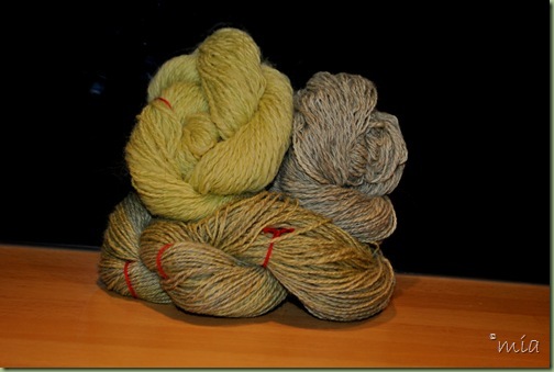 Dye with Mourning Widow