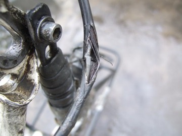 [DSCF7453%255B5%255D.jpg]