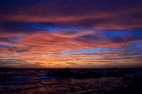 DSC_0500.JPG