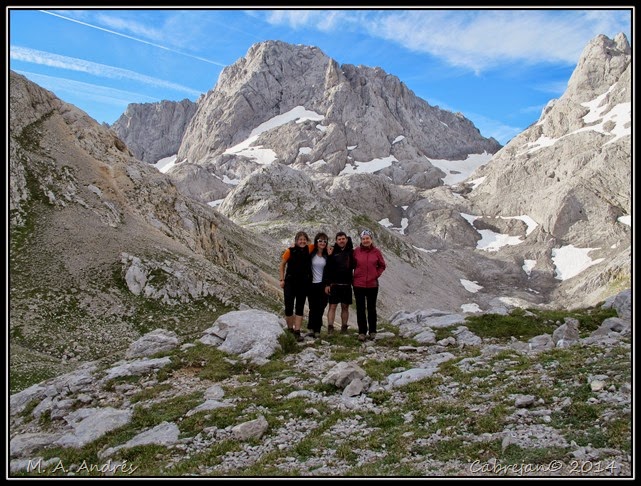 Picos 706 Picos 706
