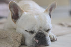 Keep my eyes open...zzzzzzz