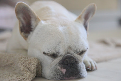 Keep my eyes open...zzzzzzz