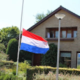IMG_9974.jpg