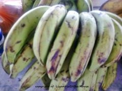 Resepi Goreng Pisang Awak Surasmi P