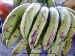 pisang nangka