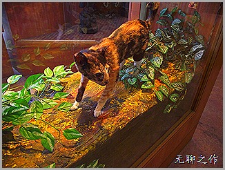 DSCF6569 DSCF6569