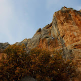 IMG_8624.jpg