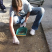 Manutenzione in Colonia 2011 (3).jpg
