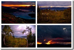 Untitled-2