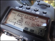 DPP_0361 DPP_0361