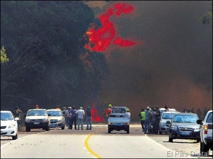 Alerta roja en Uruguay por riesgo muy alto de incendios forestales 100664%25255B7%25255D