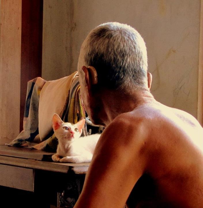 310691_10150312965606415_753825724_n%252