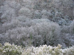 Decembro 07 008.jpg