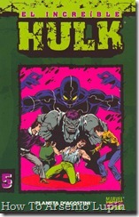 P00005 - Coleccionable Hulk #5 (de 50)