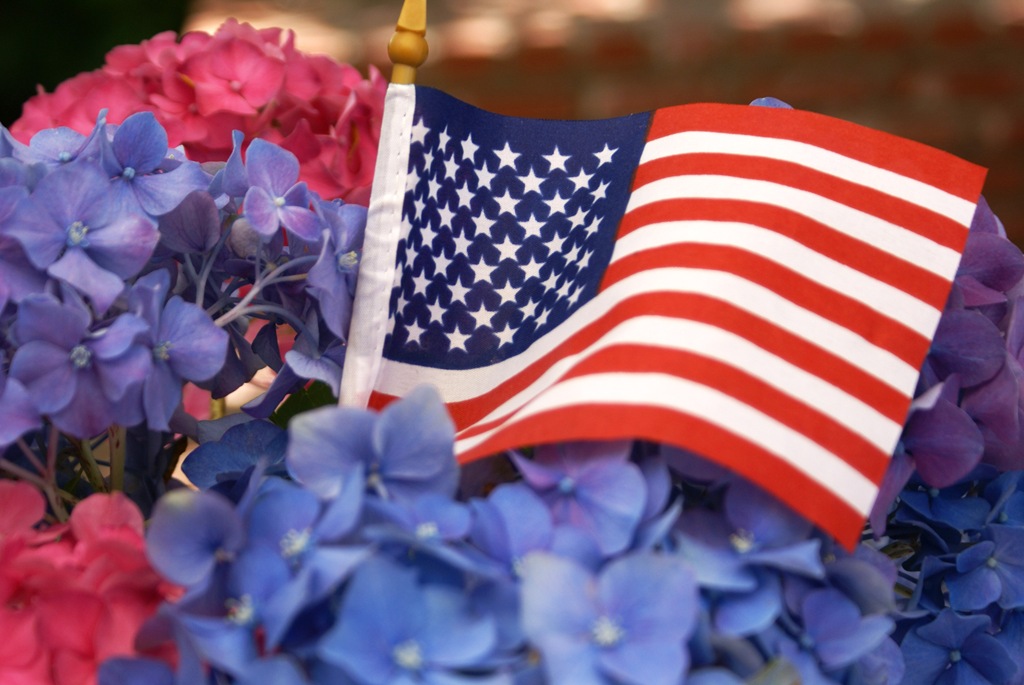 [254-Hydrangea-Flag-copy5.jpg]