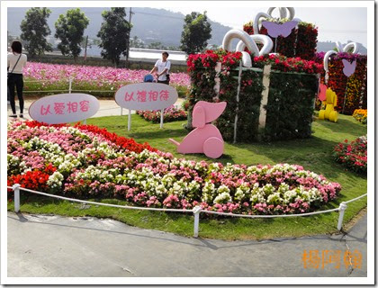 1119 020 - 台中新社花海 1119 020 - 台中新社花海