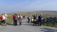 P1020126.JPG Photo