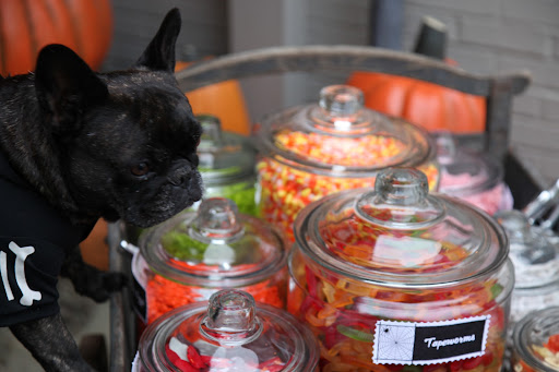 Yuk!  These squiggly looking gummy worms sound especially icky because they're labeled 'Tapeworms!'  Keep me away from them!