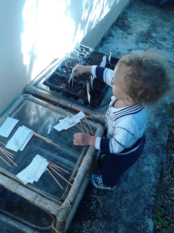 [IMG_20130531_105459_0%255B2%255D.jpg]