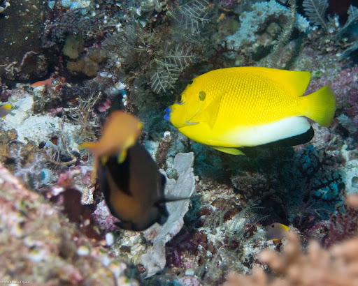 P7095525