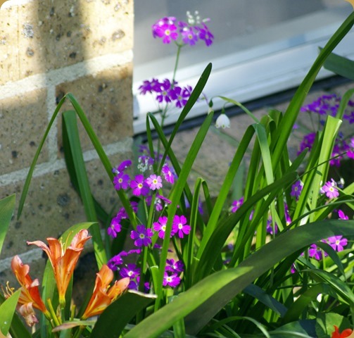 Spring is in the air Spring is in the air