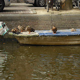 DSCF9829.JPG