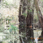 DSCN2947.JPG