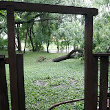 Monday. Looking through the gate. Less water.