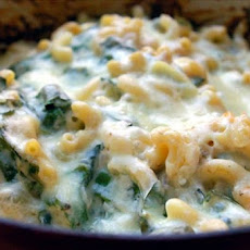 Creamy Macaroni Spinach Bake