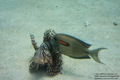 IMG_3011 IMG_3011