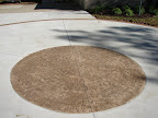 DSC00420.JPG