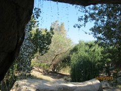 IMG_3450 IMG_3450