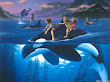 Riding The Dolphin