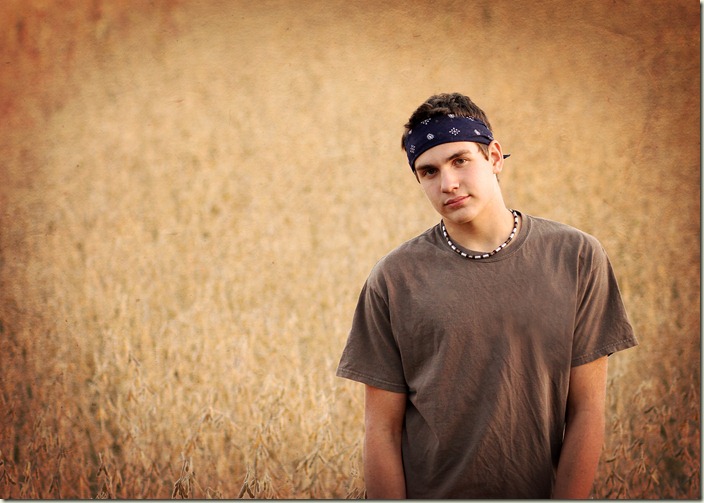 10311_Ryan_Soybeans_vignette_texture