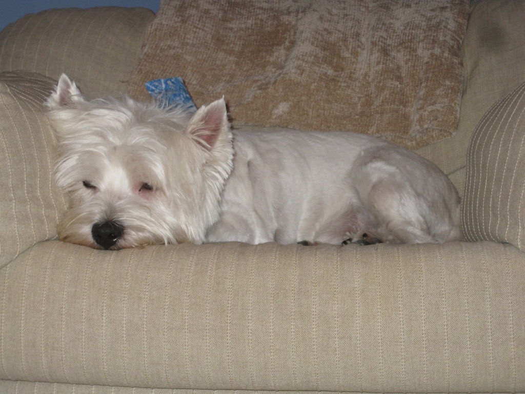 [2012.03.25%2520Haircu%2520%25282%2529%255B5%255D.jpg]