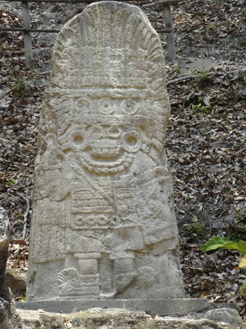 DSC03655 DSC03655