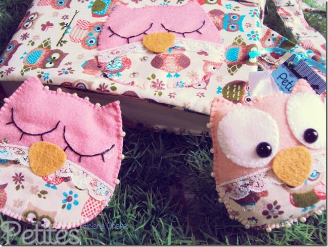 capas de corujas_12 capas de corujas_12