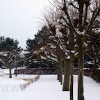 PC283319 [640x480].JPG