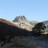 Božurni vrh