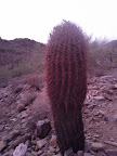 IMG_20110807_193328.jpg